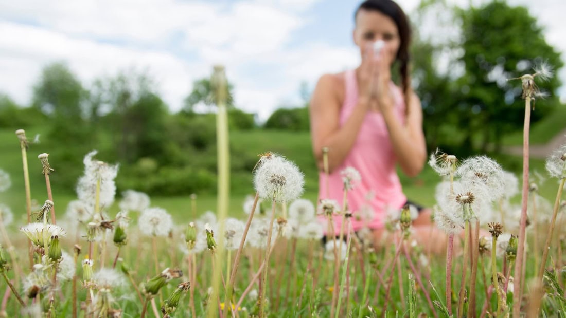 Hay fever symptoms and hay fever control in nature, woman in field with pollen.